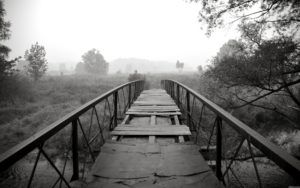 black-and-white-bridge-nature-wallpaper-computer